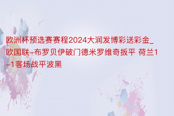 欧洲杯预选赛赛程2024大润发博彩送彩金_欧国联-布罗贝伊破门德米罗维奇扳平 荷兰1-1客场战平波黑